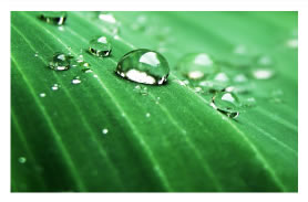 社員全員参加で取り組む環境方針のイメージ